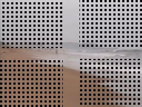 الجنس الصعب مع راعية ...